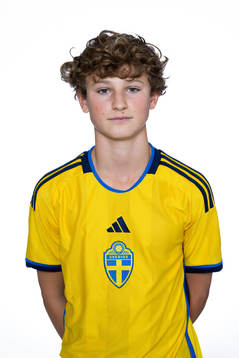 Atle Wahlund