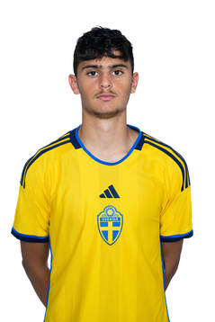 Erion Vejsa
