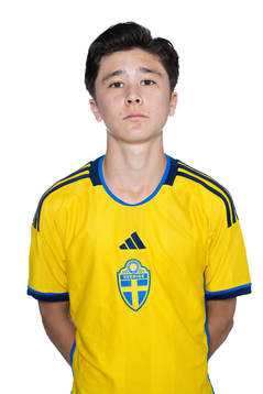 Vincent Larsson