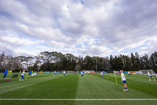 Players of the Swedish women's national football team at a