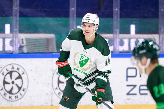 Joel Eriksson-Ek