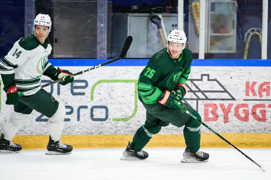 Joel Eriksson-Ek och Jonas Brodin