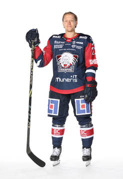 Linköpings Vilmos Gallo