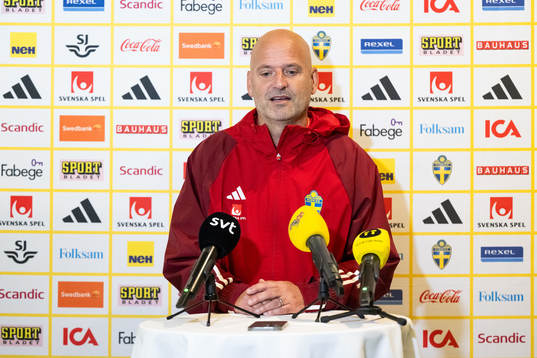 Assistant coach Magnus Wikman of the Swedish women's