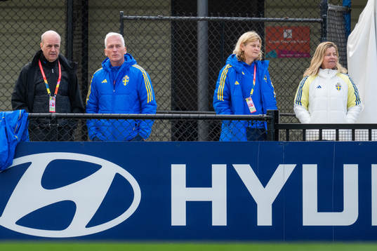 Fredrik Reinfeldt, president of the Swedish Football