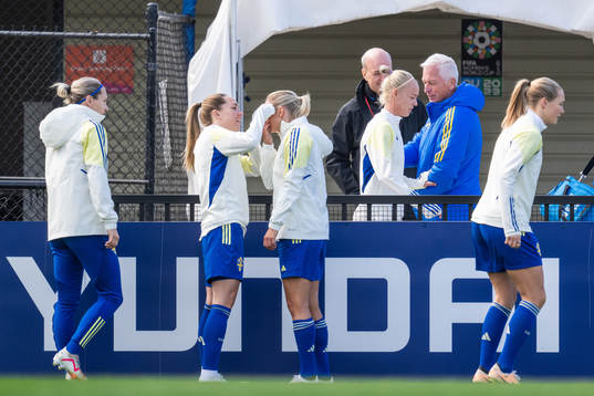 Fredrik Reinfeldt, president of the Swedish Football