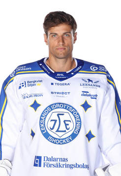 Leksands Mantas Armalis