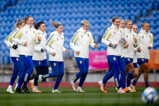 Players of Sweden at a training session
