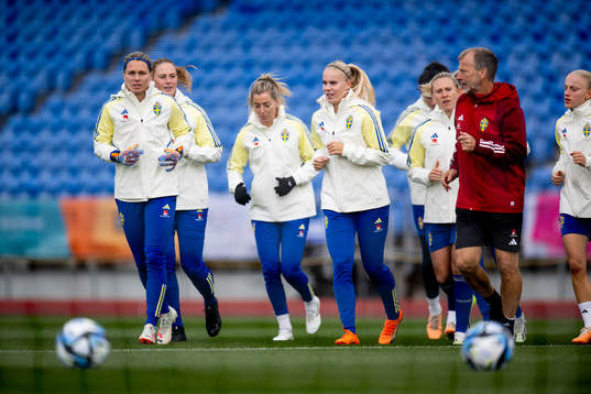 Players of Sweden at a training session