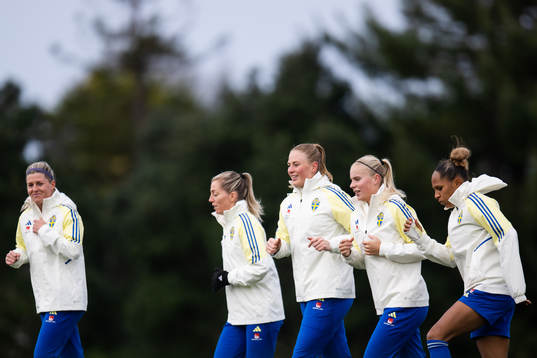 Players of Sweden at a training session