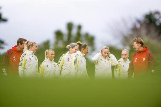 Players of Sweden at a training session