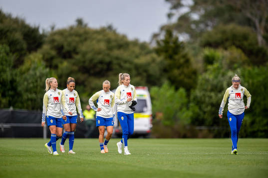 Players of Sweden at a training session