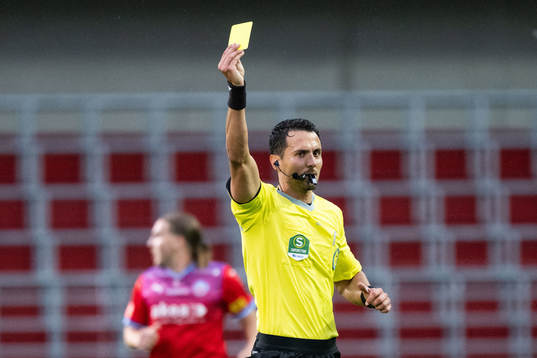 Domare Adi Aganovic