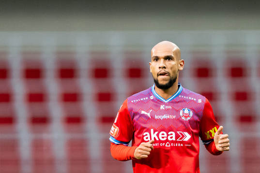 Helsingborgs Sumar Almadjed