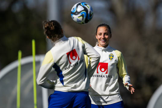 Nathalie Björn of the Swedish women's national football