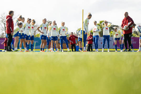 Players of the Swedish women's national football team at a