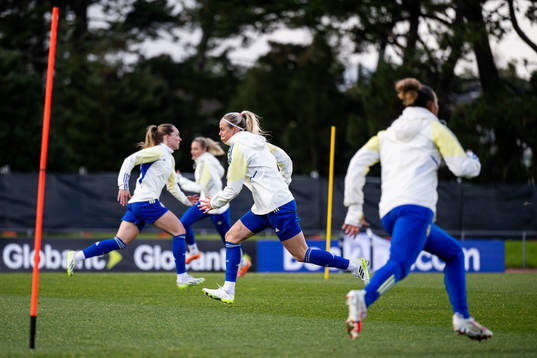Amanda Ilestedt of the Swedish women's national football