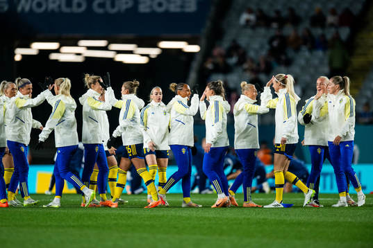 Players of Sweden