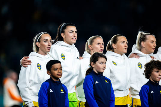 Players of Sweden