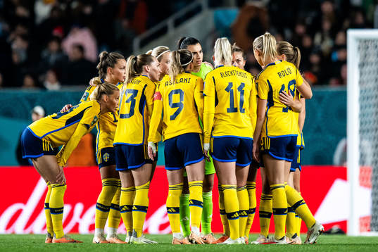 Players of Sweden
