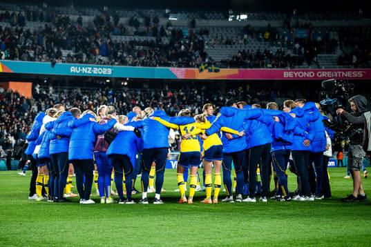The players and team of Sweden