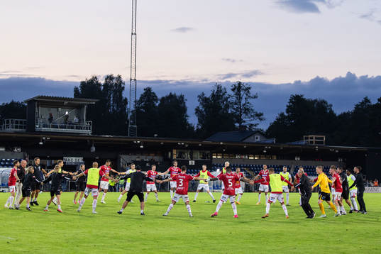 Degerfors spelare jublar