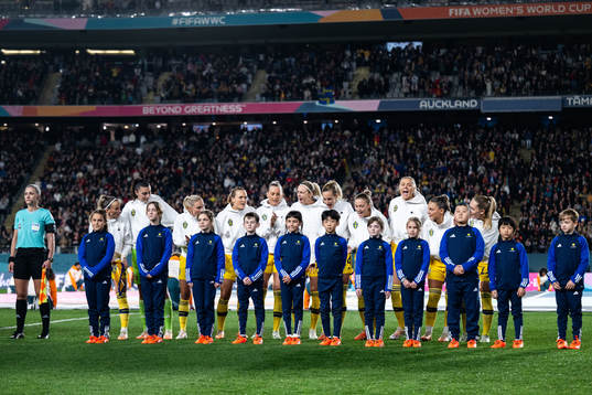 Players of Sweden