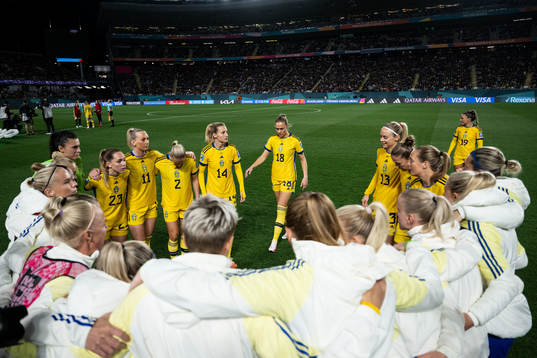Players of Sweden