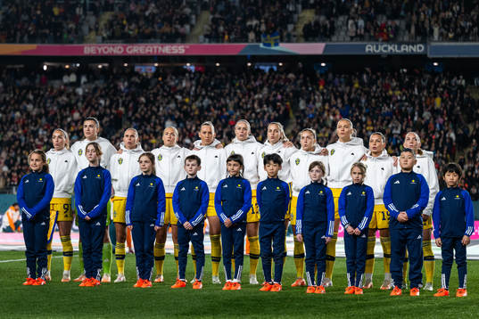 Players of Sweden