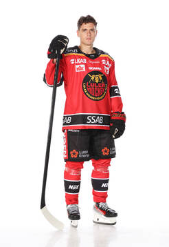 Luleås Nikola Pasicposerar för ett porträtt