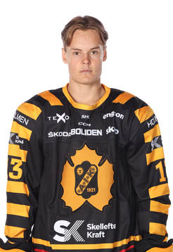 Skellefteås Theo Keilin