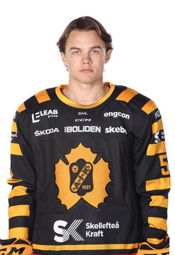 Skellefteås Axel Sandin Pelliikka