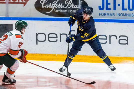 Frölundas Max Friberg och HV71sOlle Strandellunder