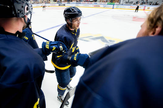 HV71s Radan Lenc jublar