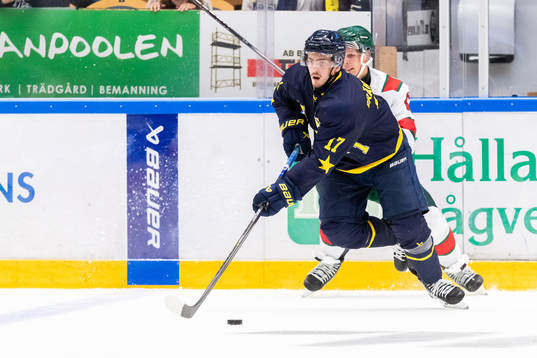 HV71s Isac Brännström
