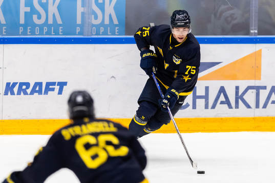 HV71s Radan Lenc