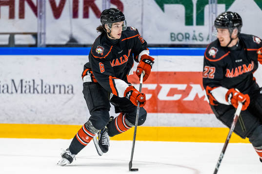 Malmö Redhawks Dominik Badinka