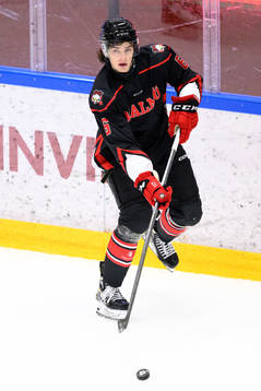 Malmö Redhawks Dominik Badinka
