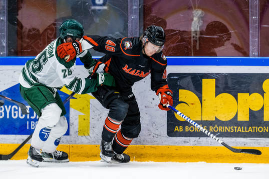 Malmö Redhawks Lauri Pajuniemi