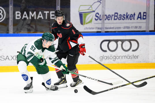 Färjestads Liam Öhgren och Malmö Redhawks Dominik Badinka
