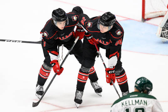 Malmö Redhawks Dominik Badinka och Anton Wahlberg