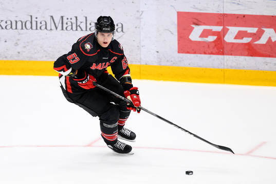 Malmö Redhawks Fredrik Händemark