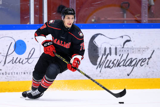 Malmö Redhawks Jakub Galvas