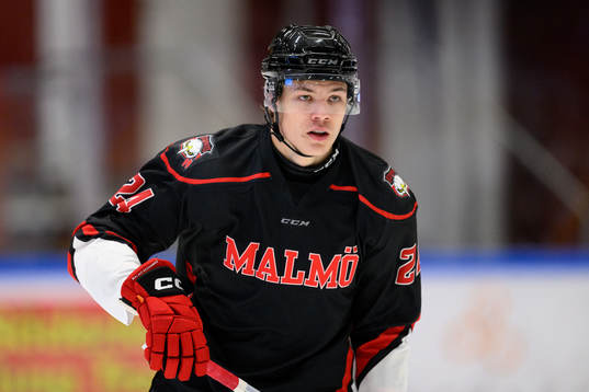 Malmö Redhawks Anton Wahlberg