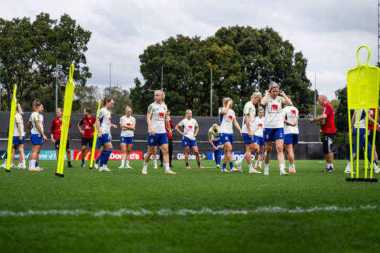 Players of the Swedish women's national football team at a