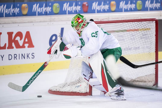 Goalkeeper Christoffer Rifalk of Rögle