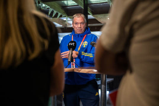 Martin Fredman, Head of security for the Swedish Football