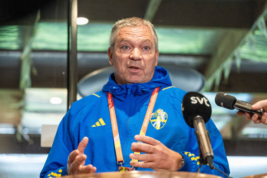 Martin Fredman, Head of security for the Swedish Football