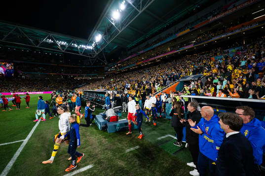 Players of Sweden