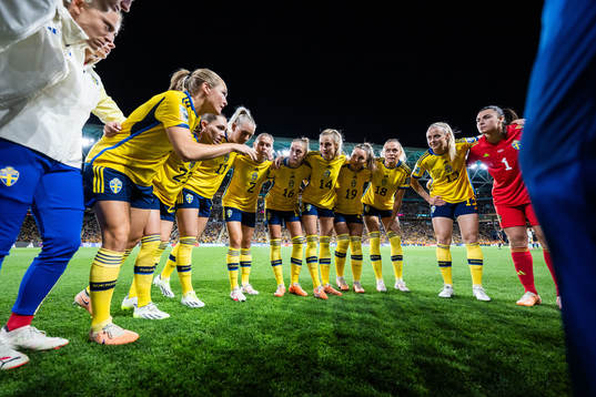 Players of Sweden